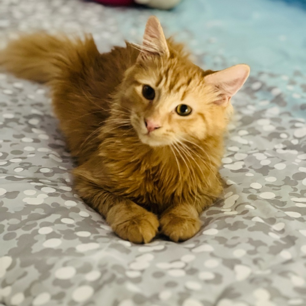 Meet your Posher, Stacey